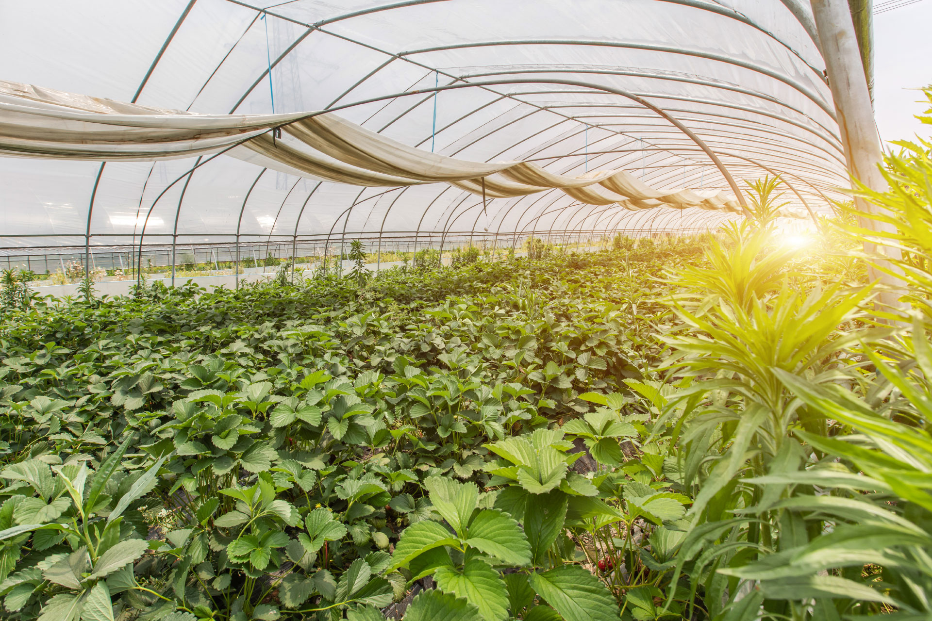 5edc47c88b2e3.jpg 5edc47c88b2e3.jpg